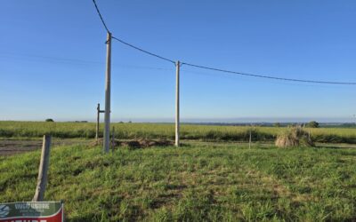 Lote en Colonia Ensayo  Loteo Los Cardales