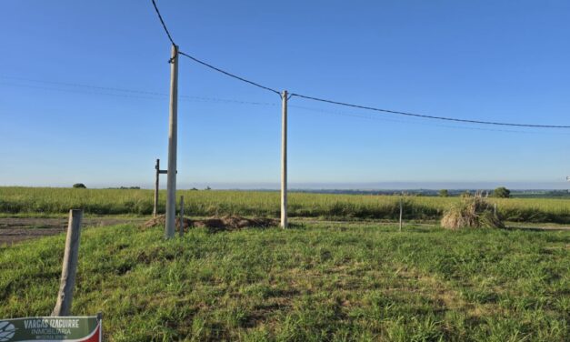 Lote en Colonia Ensayo  Loteo Los Cardales