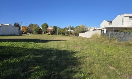 Lote en Planta Urbana de Oro Verde