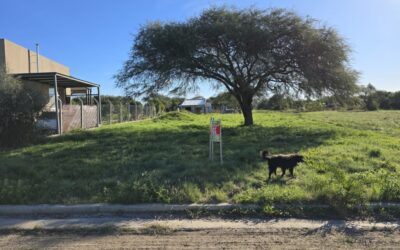 Lote en Oasis de Oro Verde