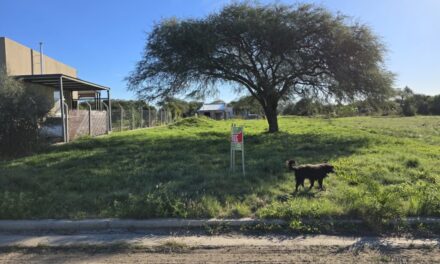Lote en Oasis de Oro Verde