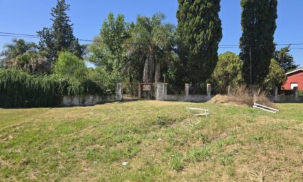 Quinta en Sauce Montrull