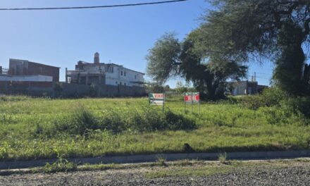 Lote en Oasis II de Oro Verde