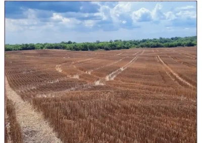 Campo Agricola en Venta Hernandarias