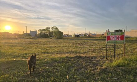 Dos lotes juntos Loteo San Antonio Oro Verde