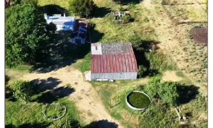 CAMPO MIXTO EN VENTA – 386 HA – HERNANDARIAS