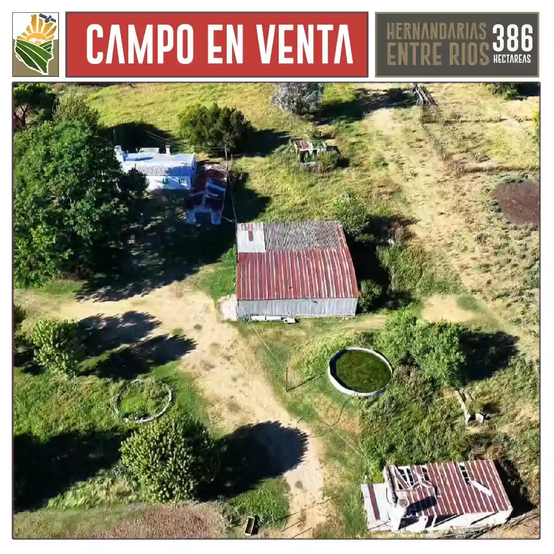 Campo_Mixto_en-venta-Hernandarias-386-ha-10