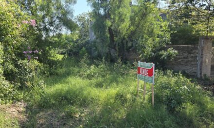 Lote en zona Toma Nueva Paraná